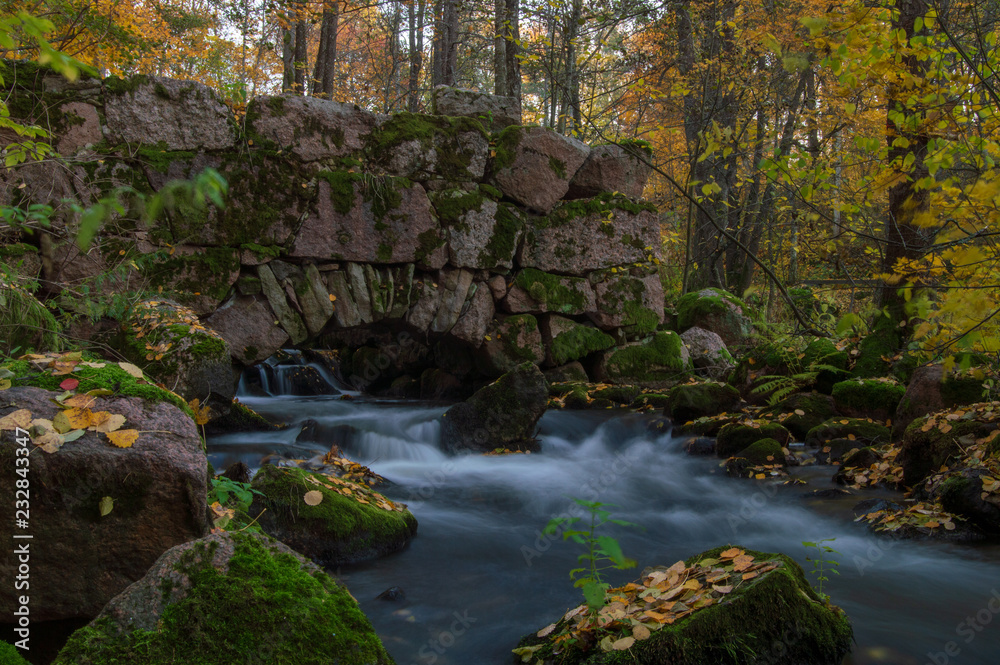 river in the forest streaming under a old stone bridge