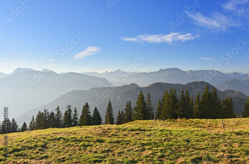 Alpine pasture with green grass and conifer trees in warm morning light under blue sky. Rocky mountain range in the background. Allgaeu Alps, Bavaria, Germany.