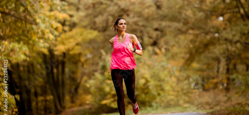 Healthy fitness woman train...