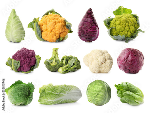 Set with different types of cabbage on white background