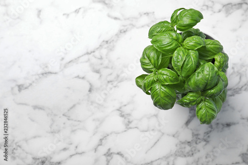 Fresh basil in pot on marble background, top view with space for text