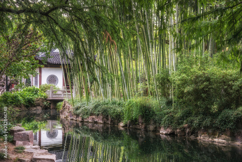 Canvas Print Guyi Garden, bamboo forest, Shanghai, China