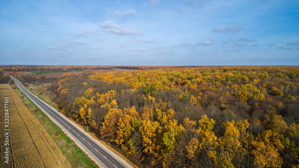 Aerial view of road in autumn forest at sunset. Amazing landscape with rural road, trees with red and orange leaves in a day near the corn field.