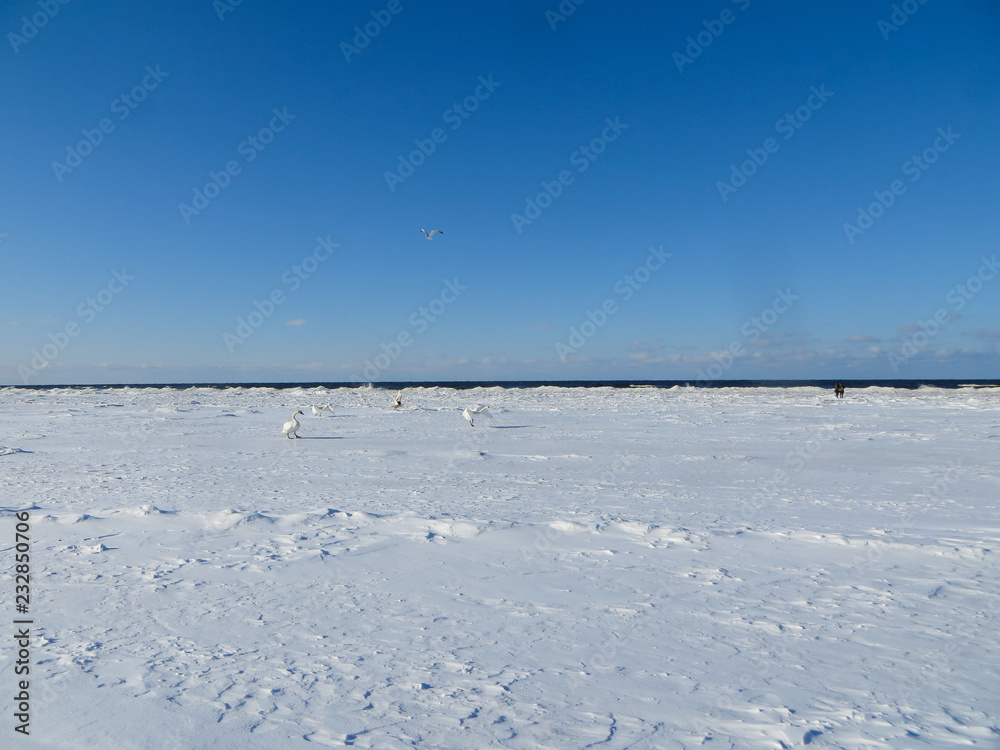 Endless expanses on a snow-covered beach in Jurmala, on the shore of the Gulf of Riga, in winter 2018.Latvia. Endless expanses on a snow-covered beach in Jurmala, on the shore of the Gulf of Riga, in winter 2018.Latvia.