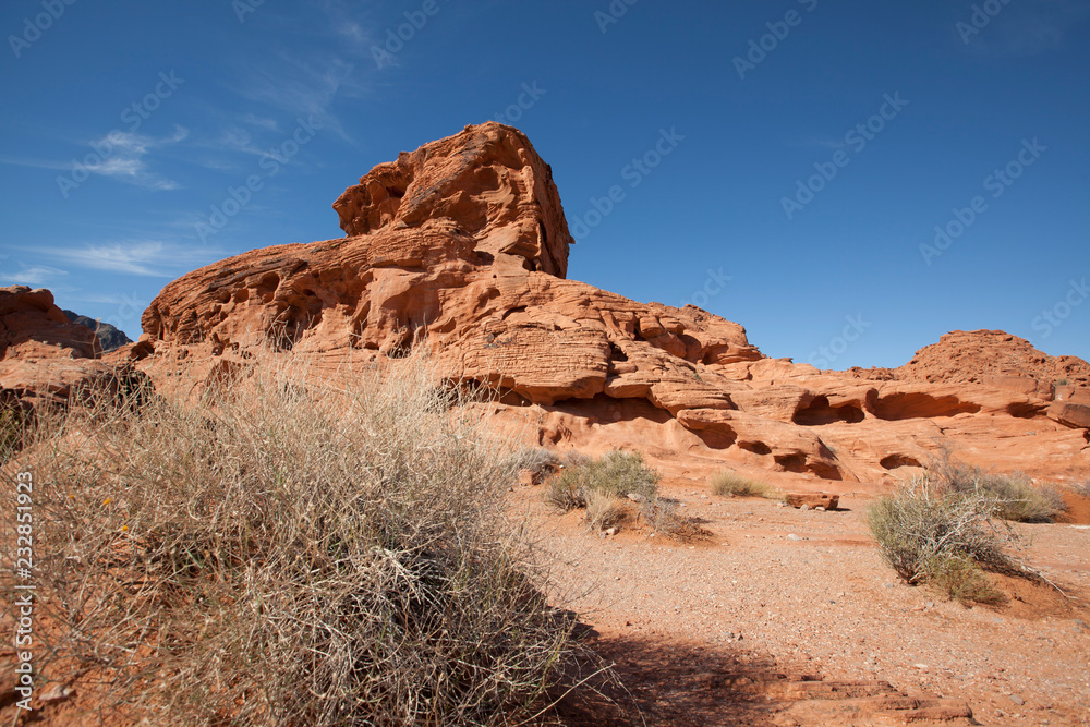 Fototapeta premium Red rock formation in Nevada Valley of Fire