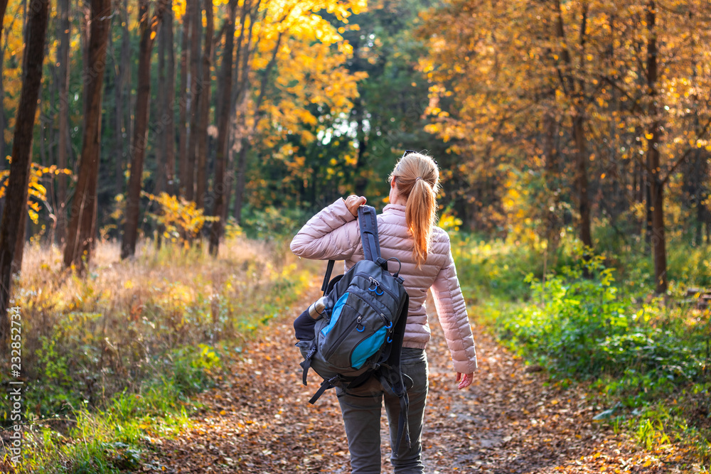 Woman hiking in forest at autumn season. Traveler with backpack. Woman hiking in forest at autumn season. Traveler with backpack.