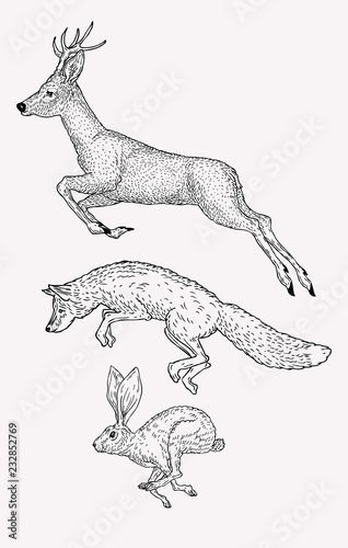 Hand drawn jumping deer, fox, hare. Vintage animal graphic. Christmas greeting card.