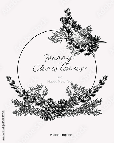 Christmas card in vintage style. Hand drawn botanical illustration with tit bird, evergreen plants and cones. Greeting template for winter holidays.