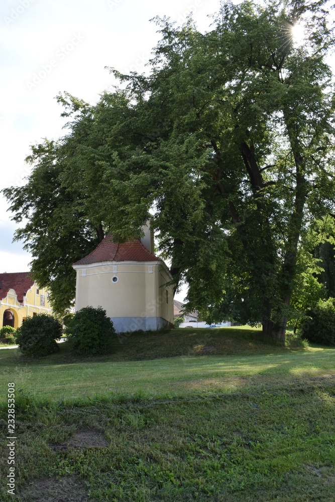 Obraz premium house in park