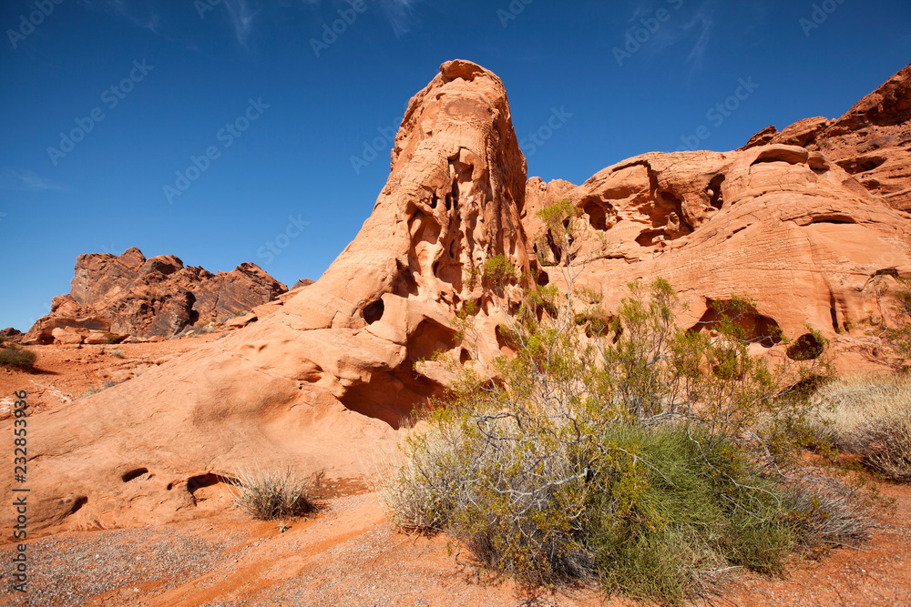 Red rock formation in Nevada Valley of Fire