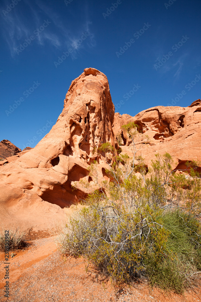 Fototapeta premium Red rock buttes in Valley of Fire state park, Nevada