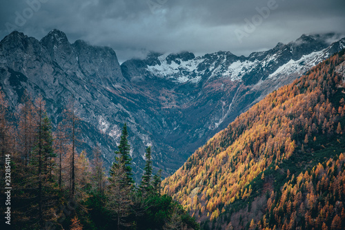 Rock mountain, orange leaves at Julian Alps, Slovenia