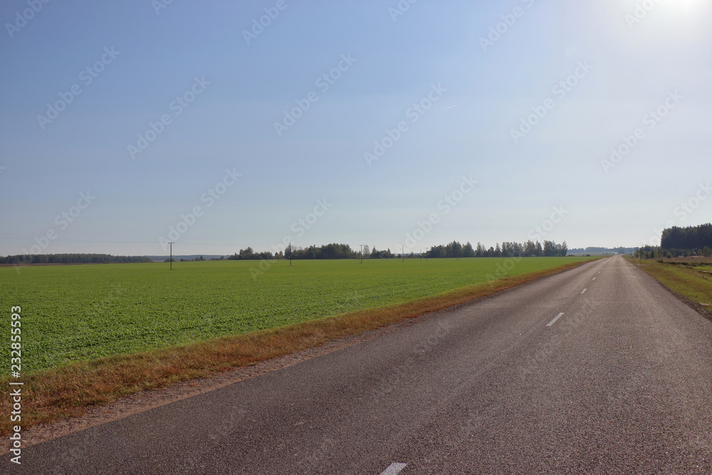 Fototapeta premium Road series 001