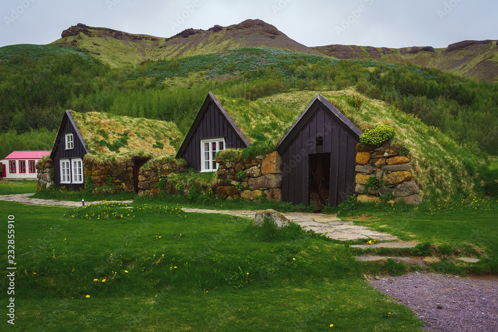 Icelandic turf house