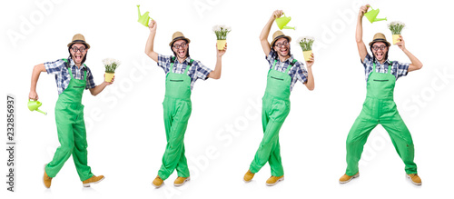 Young funny gardener with tulips and watering can isolated oin w