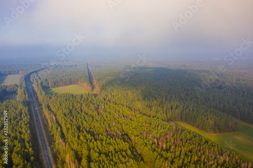 Woodlands growing in rural area covered with mist. Aerial landscape