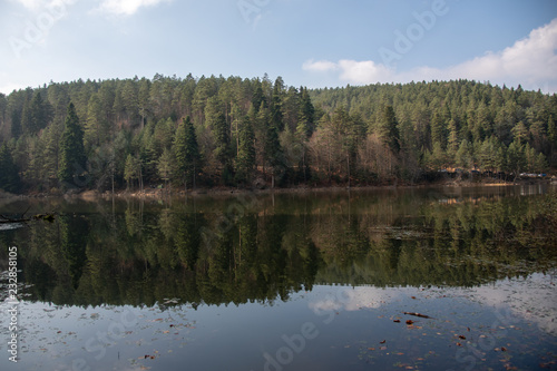 lake in forest © Yasin