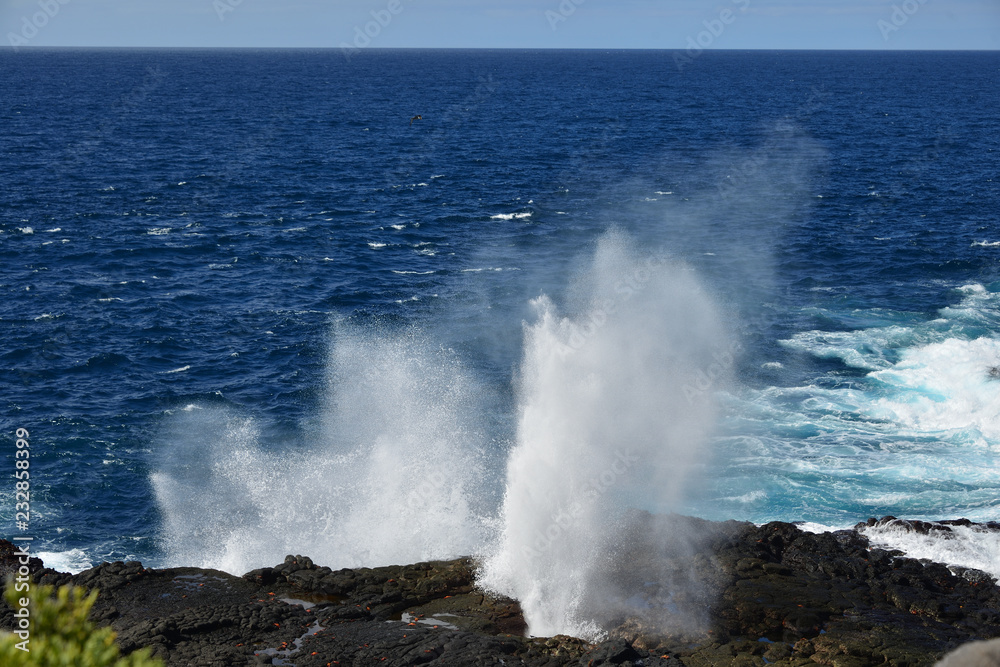 Galapagos sea geyser