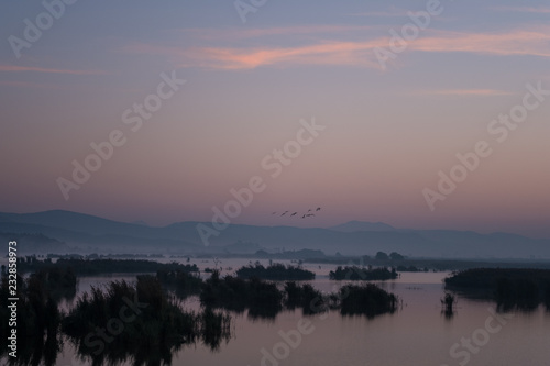 Dramatic Wetland Scenery