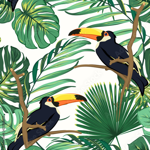 Toucan birds natural habitat in exotic tropical jungle rainforest fern greenery. Vivid bright green seamless pattern texture white background. Realistic jungle palm tree monstera leaves.