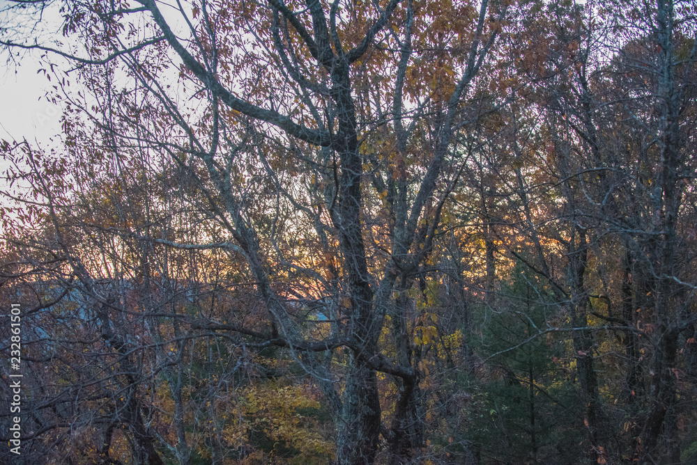 Mountain Sunrise - 11-11-18-1 Mountain Sunrise - 11-11-18-1