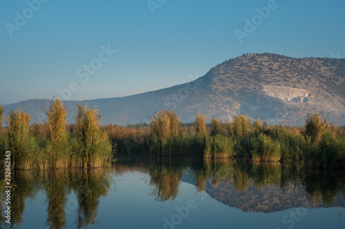 Marshland Scenery View