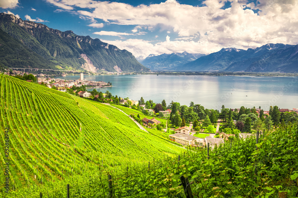 Naklejka premium Montreux city with Swiss Alps, lake Geneva and vineyard on Lavaux region, Canton Vaud, Switzerland, Europe.