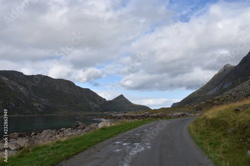 Lofoten, Flakstad, Skjelfjorden, Fjord, Straße, Schotterstraße, Schaf, Schafe, weiden, Herde, Schafherde, Rast, Ufer, Küste, Leknes, Norwegen, Gramnesvågen, Stjerntinden photo