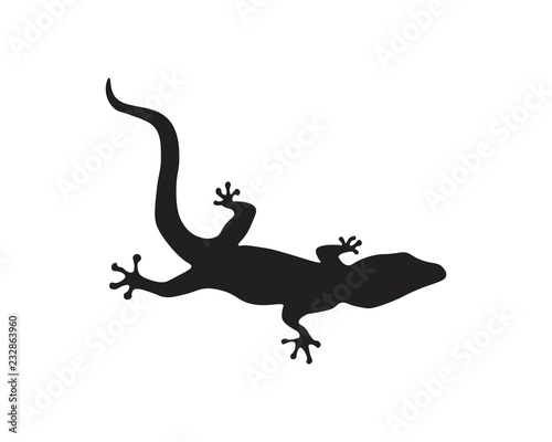 Lizard vector, design, animal, and reptile, gecko © anggasaputro08
