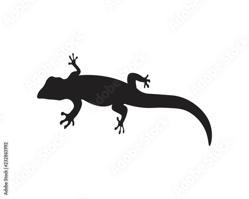 Lizard vector  design  animal  and reptile  gecko