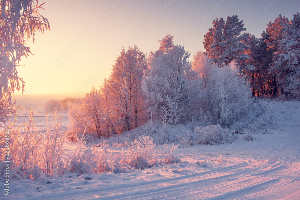Winter landscape with frosty trees in bright morning sunlight.
