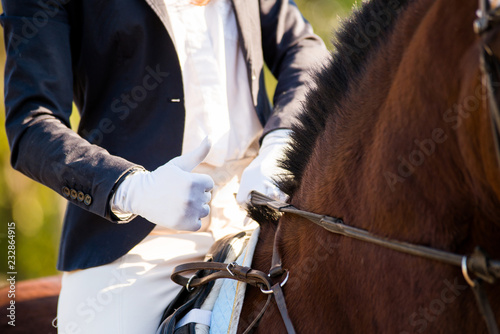 Girl rider's hand showing thumb up. Horse theme 