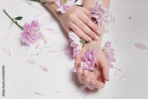 Beautiful well-groomed velvet woman s hands with stylish Nude manicure hold soft pink flowers that are scattered on table