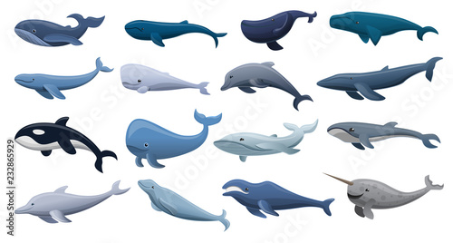Fényképezés Whale icon set. Cartoon set of whale vector icons for web design