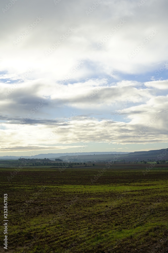 Obraz premium PRADO LABRADO