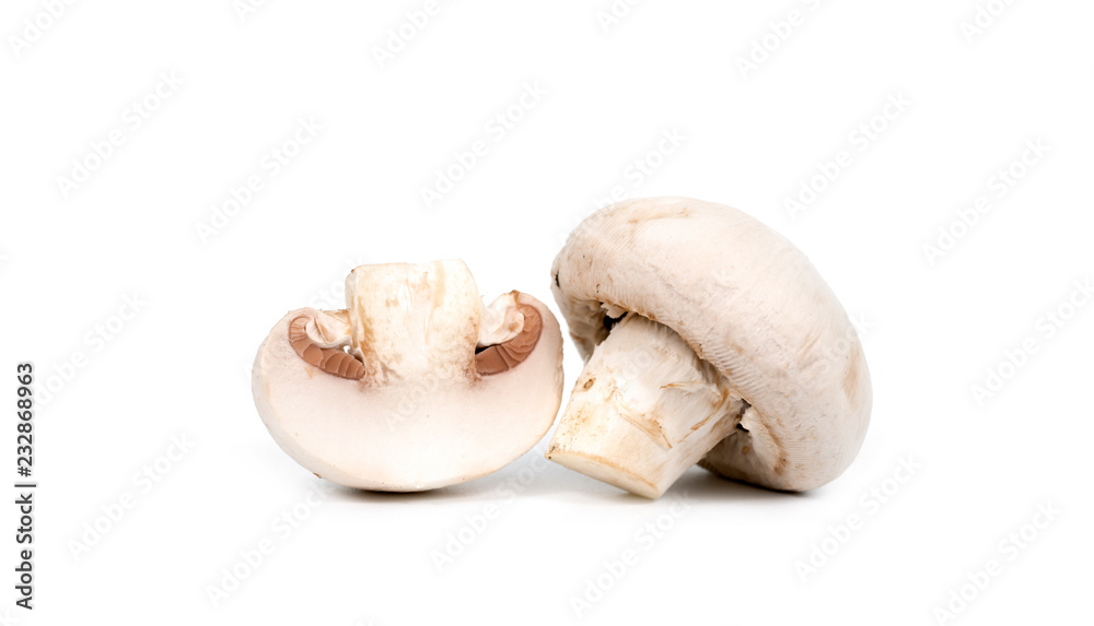 Fototapeta premium champignons on white background