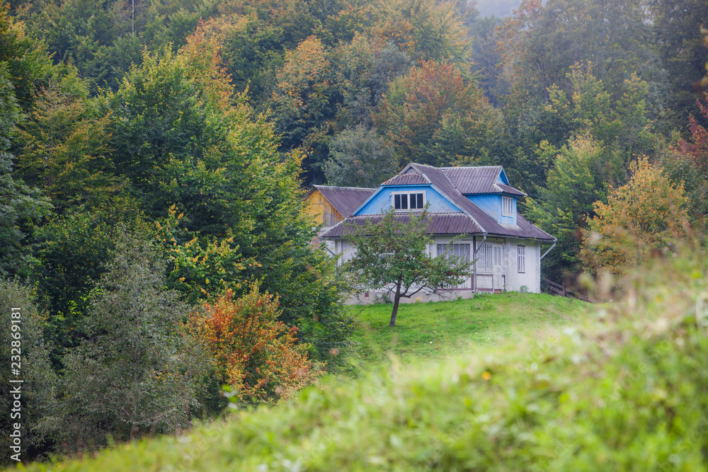 house in the forest