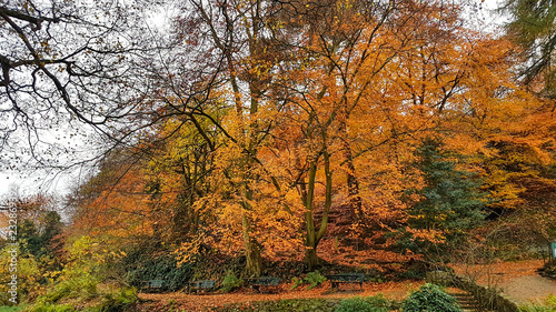 Autumn colours Malvern hills Worcestershire