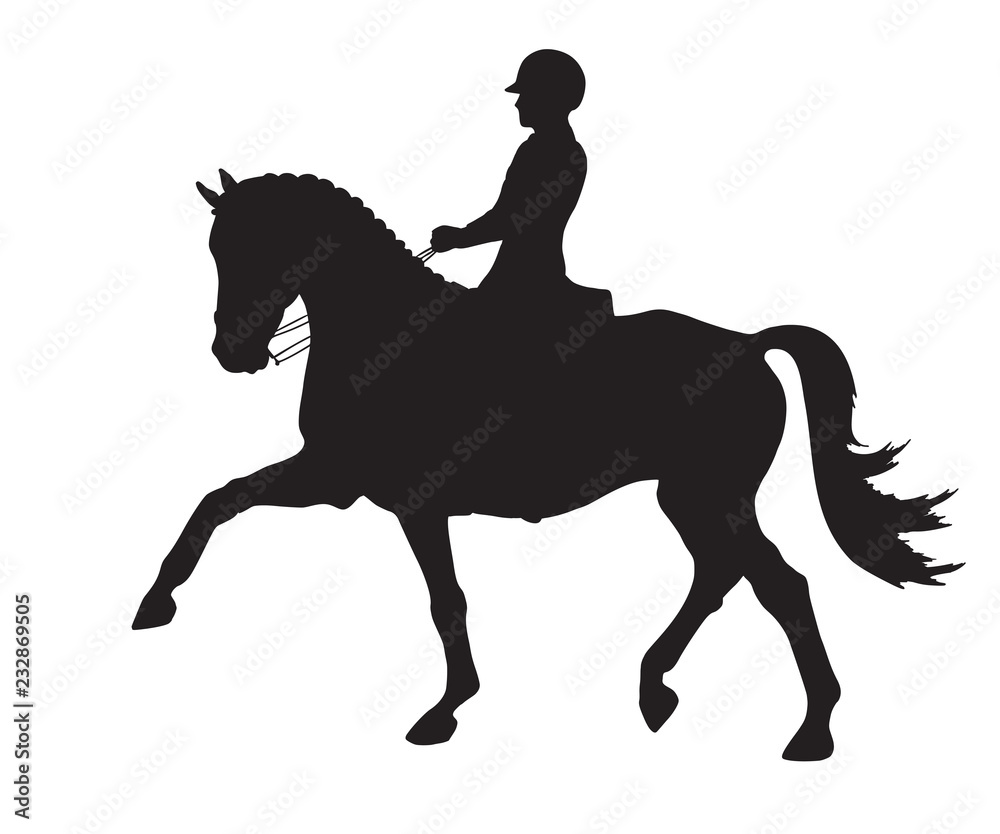 Equestrian sport. Vector silhouette of a dressage rider on a horse.	