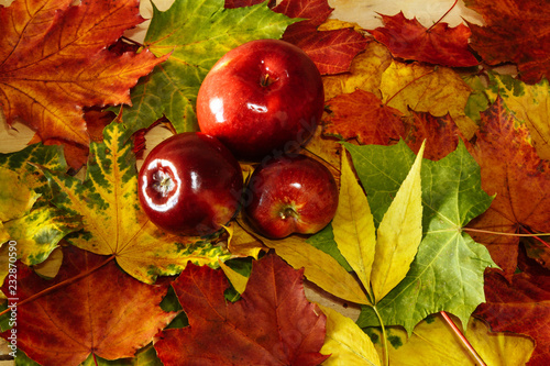 Autumn background on yellow leaves with red apples and rosehip
