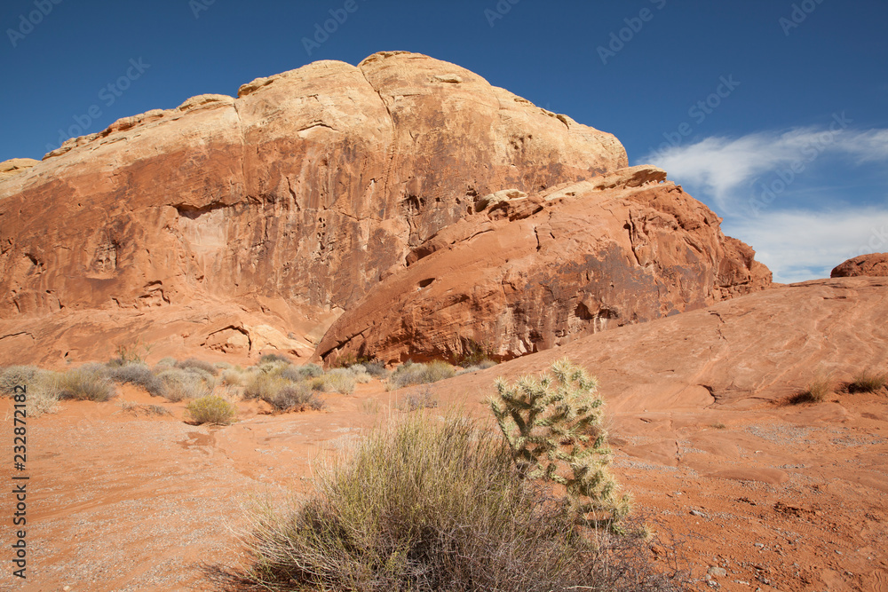 Fototapeta premium valley of fire state park in Nevada