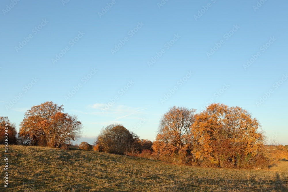 paysage rural d'automne
