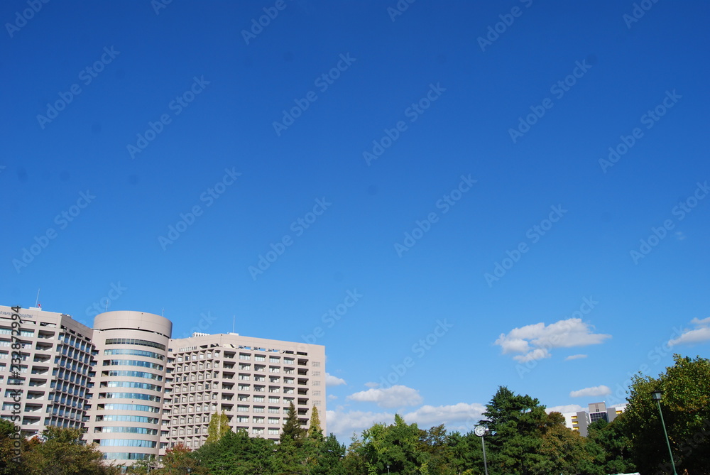 大学病院 大学病院