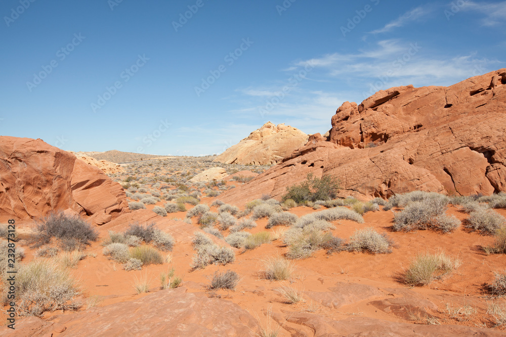Rainbow Vista Trail in Valley of Fire State Park in Nevada Rainbow Vista Trail in Valley of Fire State Park in Nevada