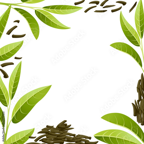 Colorful pattern. Fresh tea leaves and pile dry tea. Green tea for design, advertising and packaging. Flat vector illustration isolated on white background