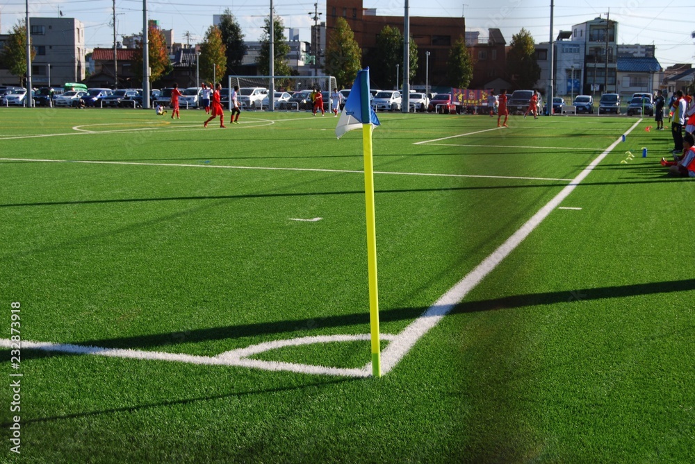 Fototapeta premium ziemia