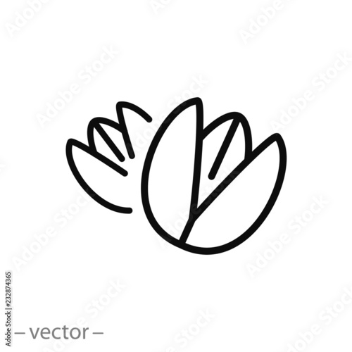 Pistachio nut icon, linear sign on white background - editable vector illustration eps10