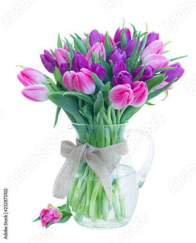 Pink and violet fresh tulip flowers in glass vase isolated on white background