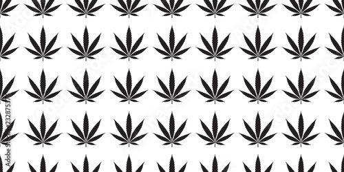 Marijuana seamless pattern vector Weed cannabis leaf tile background repeat wallpaper scarf isolated white © CNuisin