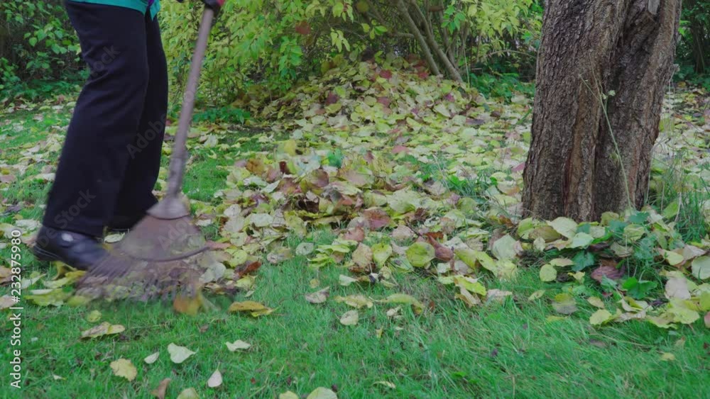 older woman rakes leaves together